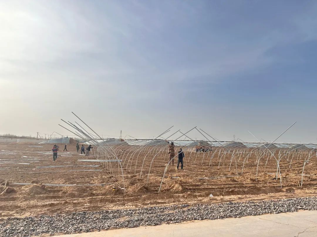 20230414082908_11.jpg 1.jpg