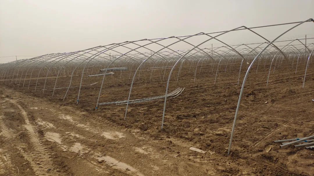 20230414083008_11.jpg 2.jpg