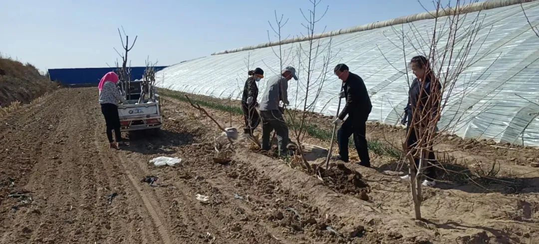 20230418083208_11.jpg 4.jpg