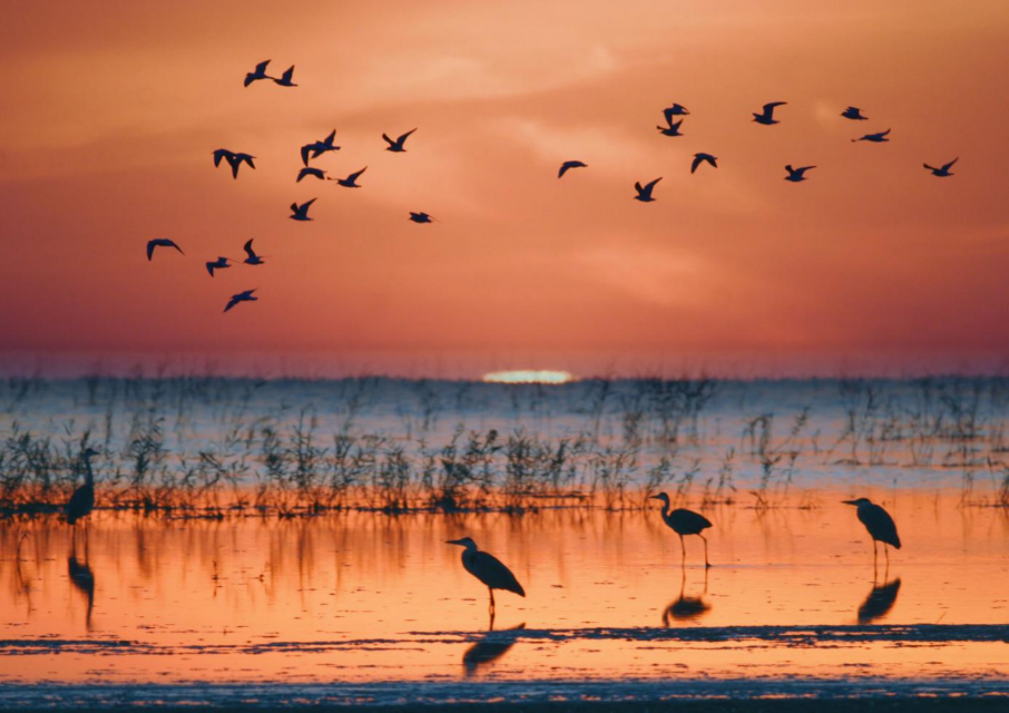 20230608094209_11.png 640 (4).png