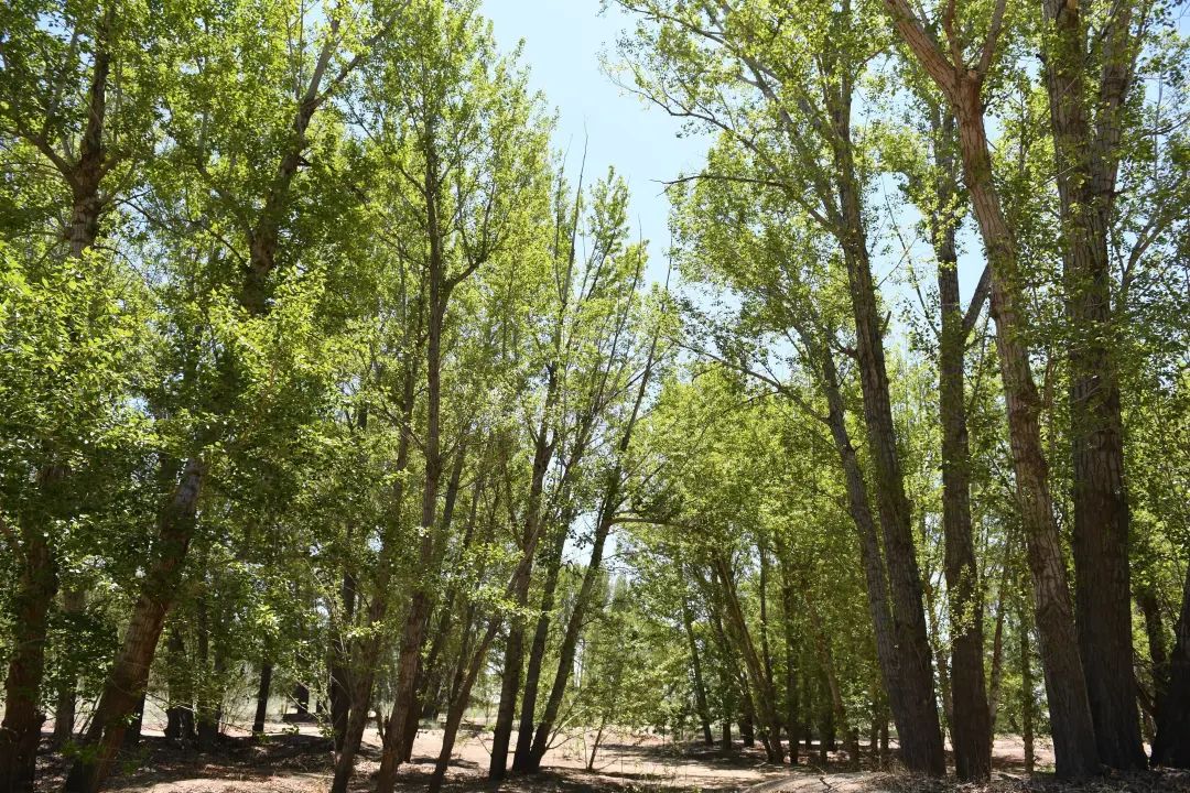 20230609152415_11.jpg 20230609152415_11.jpg