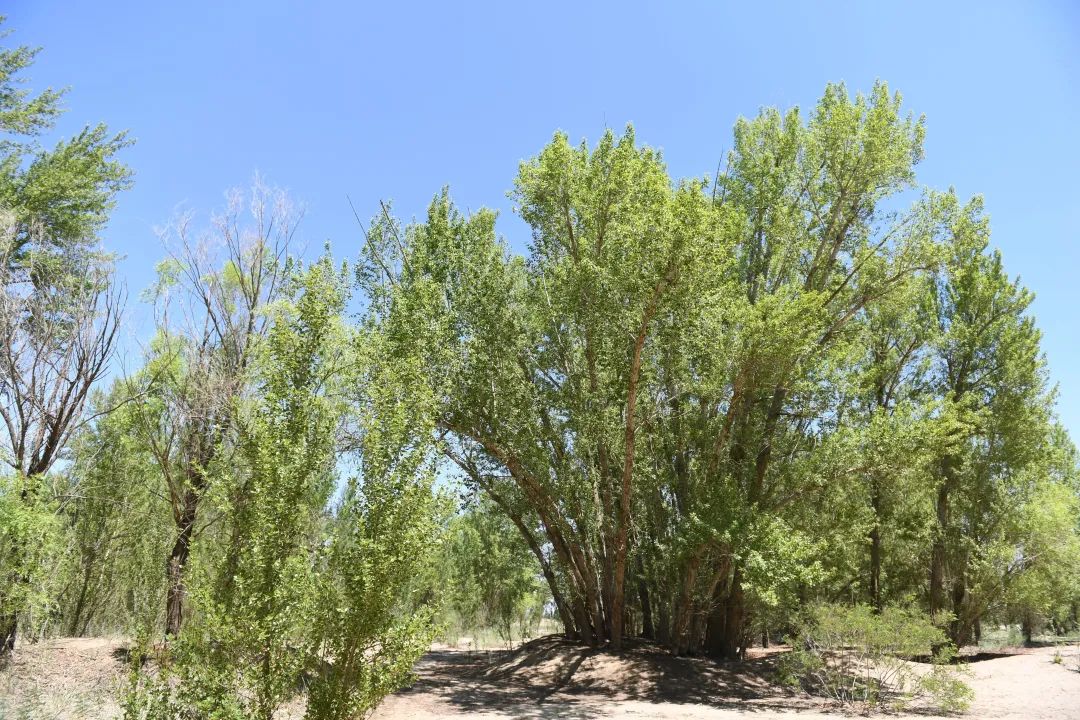 20230609152615_11.jpg 20230609152615_11.jpg