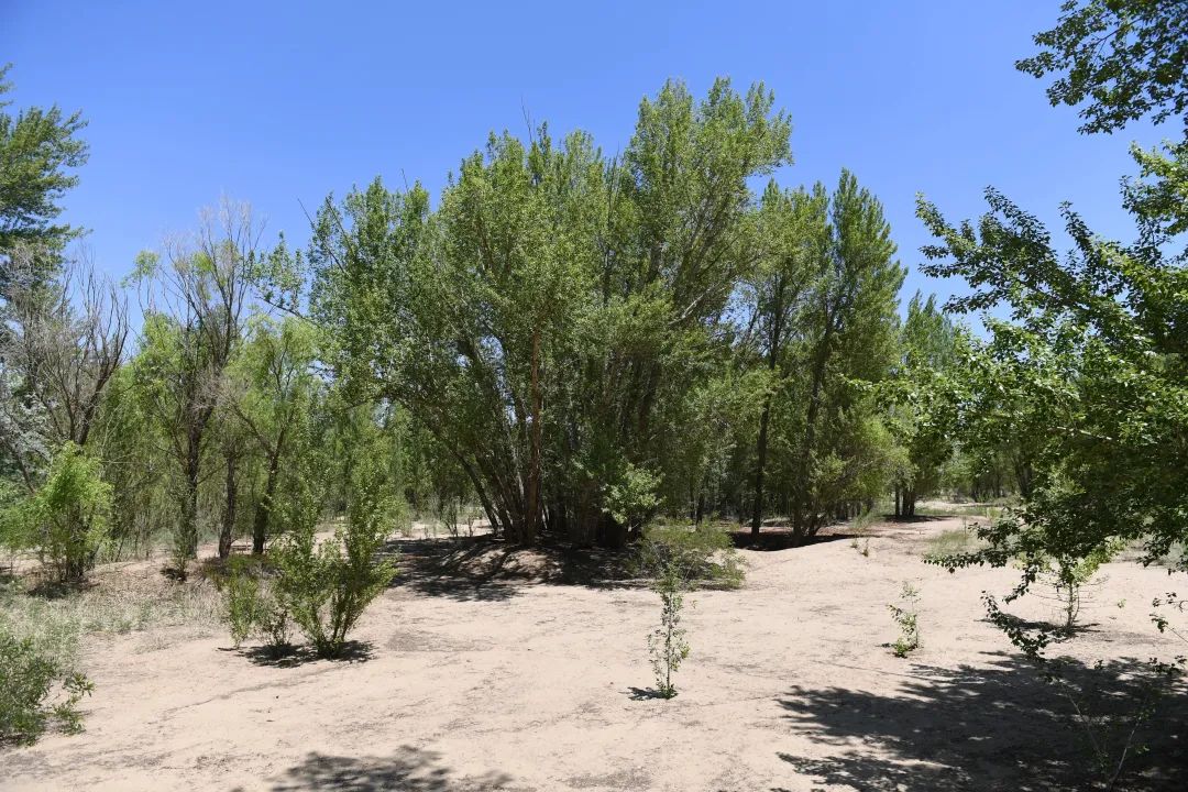 20230609152715_11.jpg 20230609152715_11.jpg