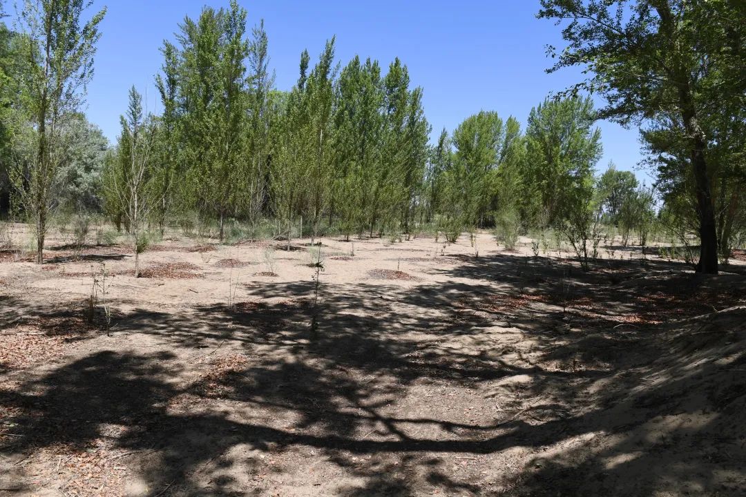 20230609153015_11.jpg 20230609153015_11.jpg