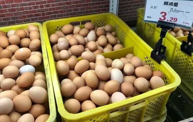 20230810114311_11.jpg 640 (1)3.jpg