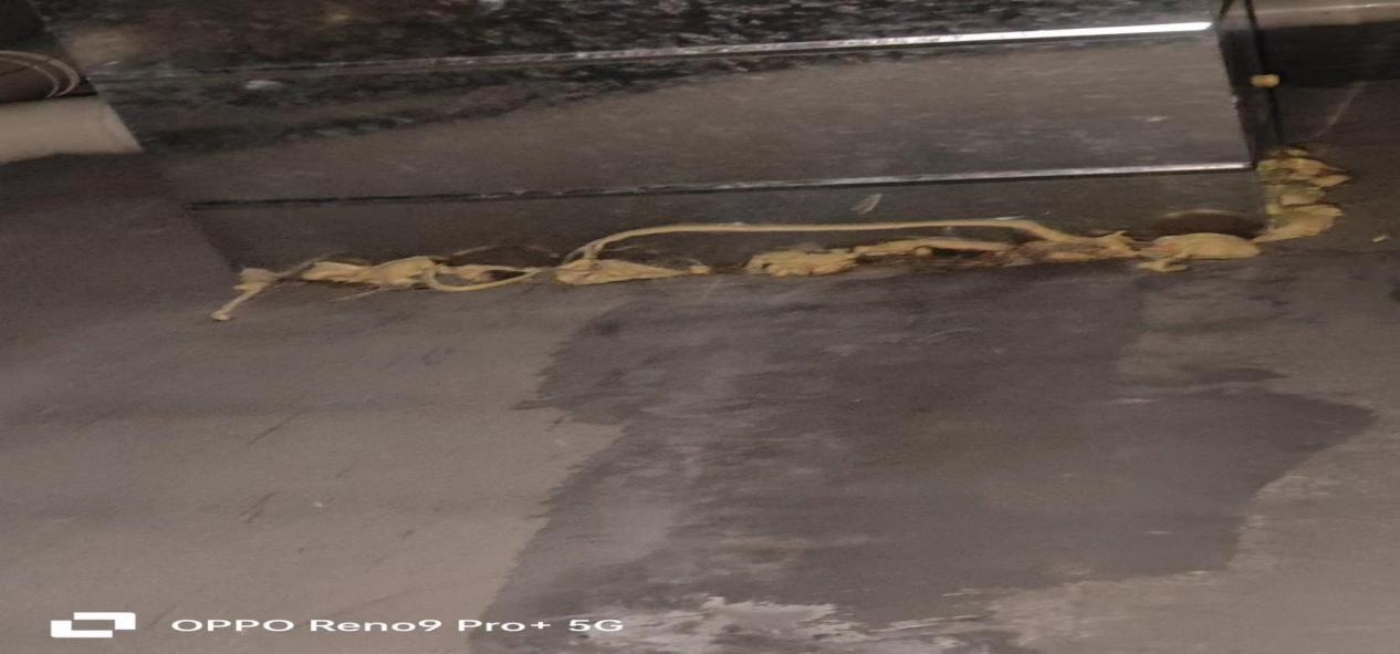 20241023101610167586_11.png 20241023101610167586_11.png