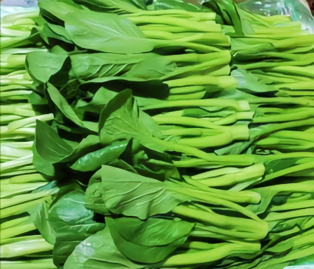 20250224084408359045_11.png 20250224084408359045_11.png