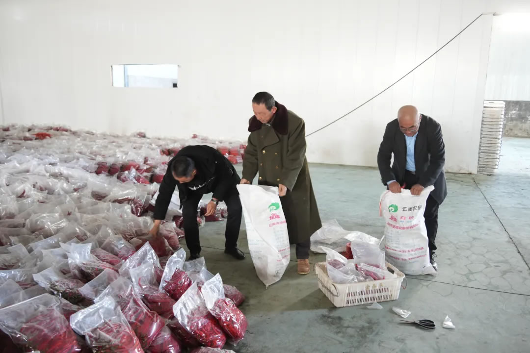 20250226085508410159_11.jpg 1.jpg