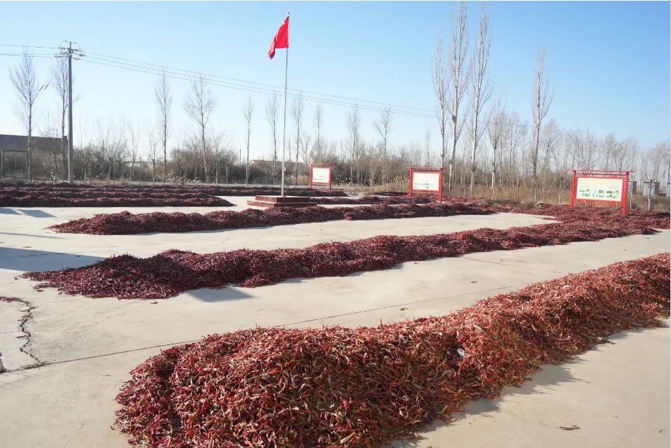 20250226085508798055_11.jpg 2.jpg