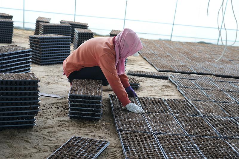 20250402082908162422_11.jpg 1.jpg