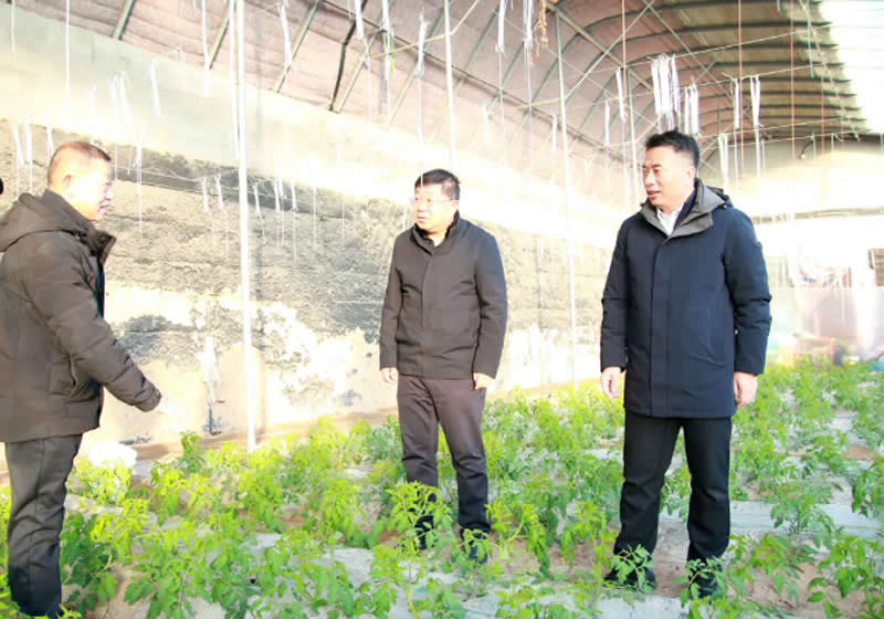 20260121091709100163_11.jpg 1.jpg